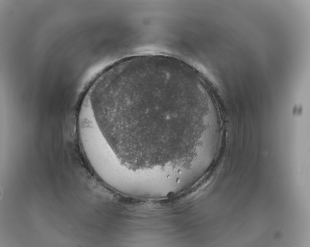 X0000091331358200709071148
