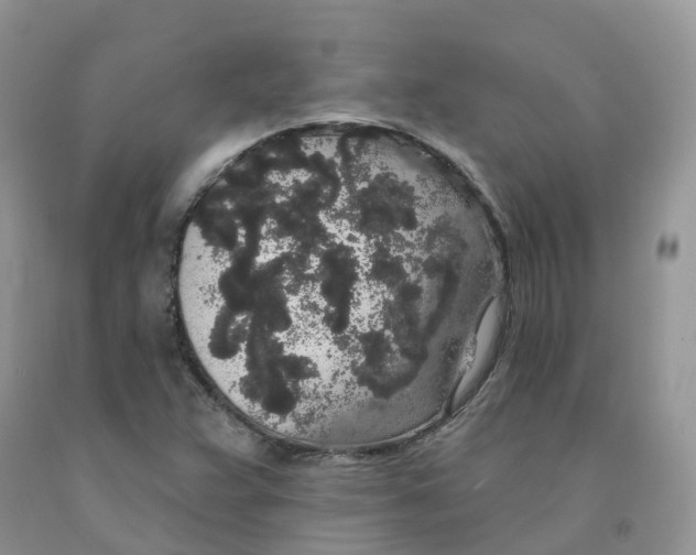 X0000091331359200709071148