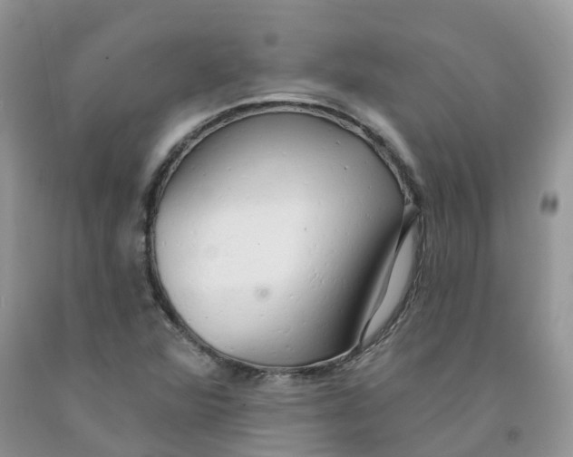 X0000091331360200709071148