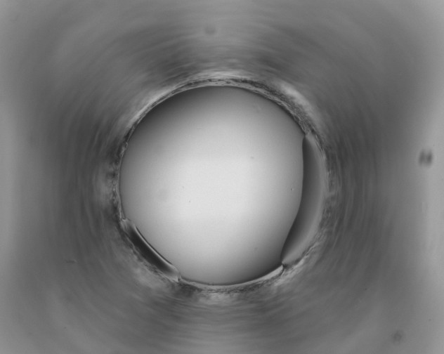 X0000091331361200709071148