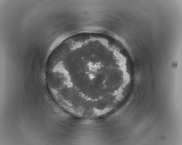 X0000091331362200709071148