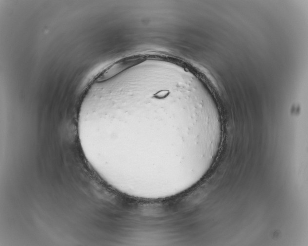 X0000091331363200709071148