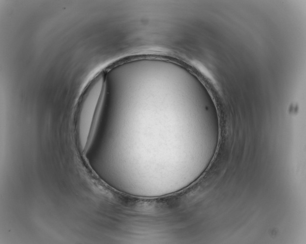 X0000091331364200709071148