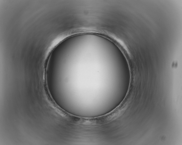 X0000091331365200709071148