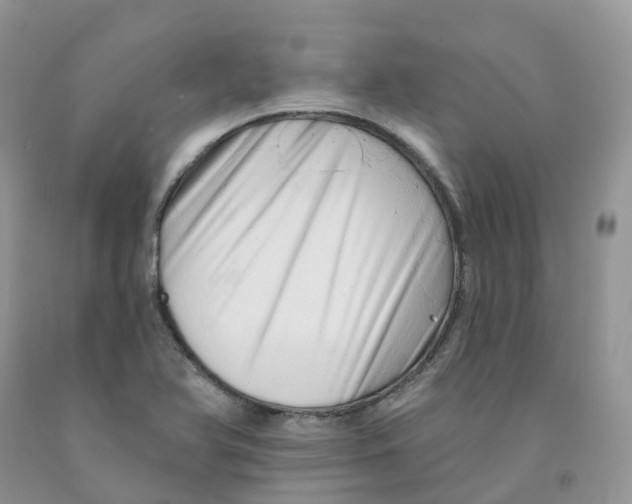 X0000091331366200709071148