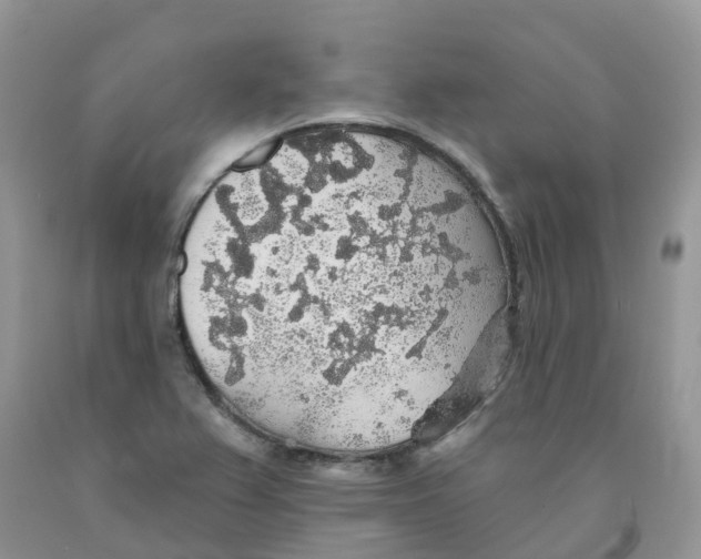 X0000091331367200709071148