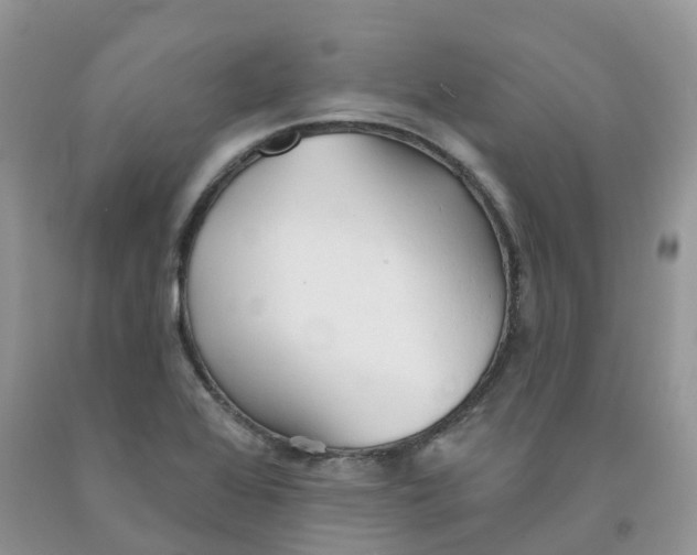X0000091331368200709071148