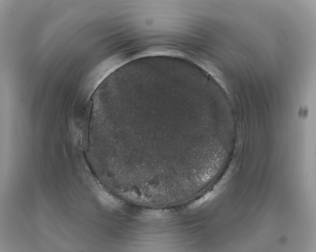 X0000091331369200709071148