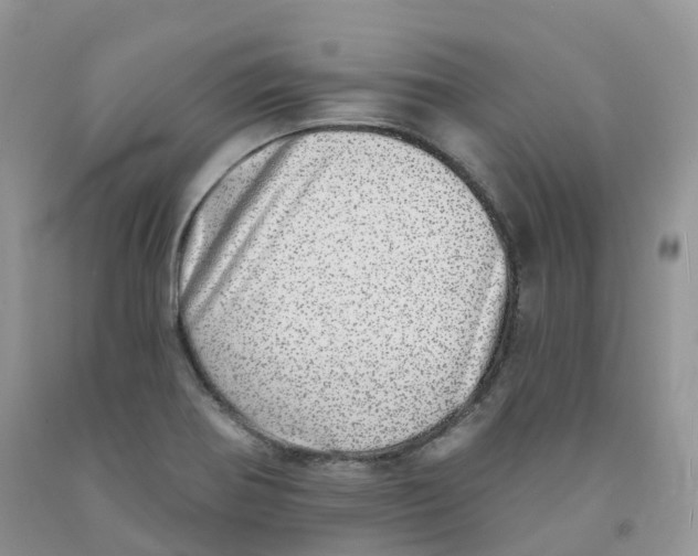 X0000091331370200709071148