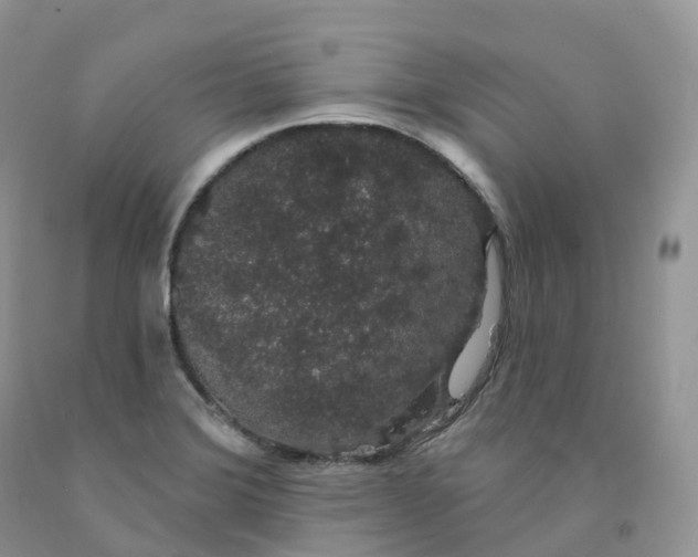 X0000091331372200709071148