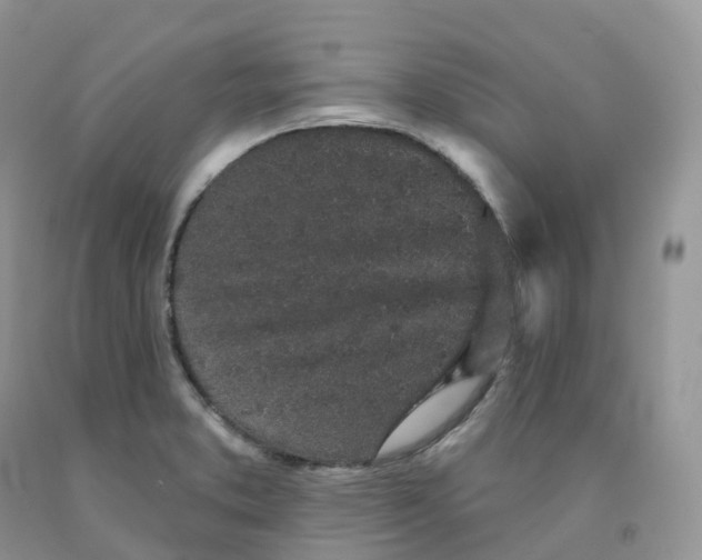 X0000091331373200709071148