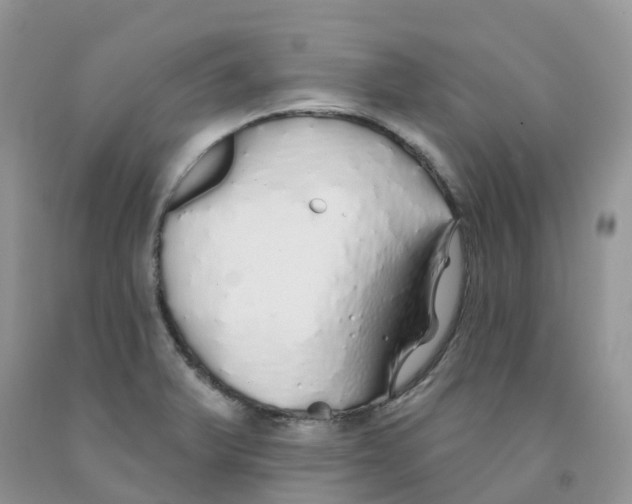X0000091331375200709071148