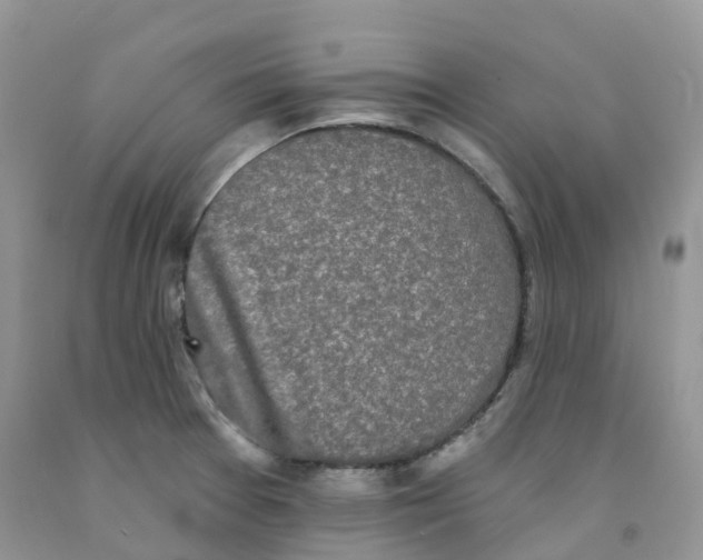 X0000091331377200709071148