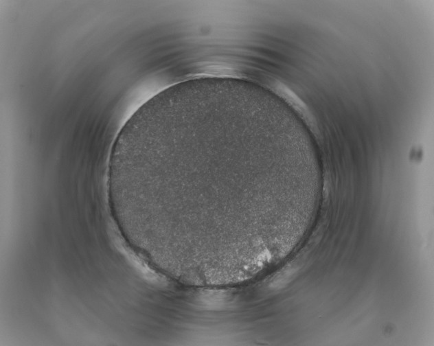 X0000091331378200709071148