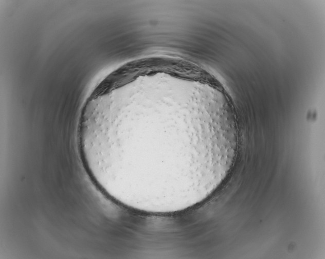 X0000091331379200709071148