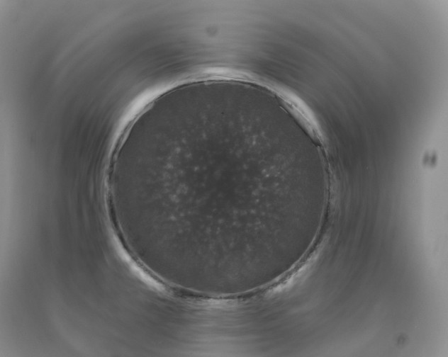 X0000091331381200709071148