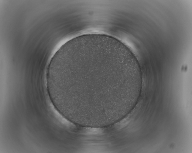 X0000091331382200709071148