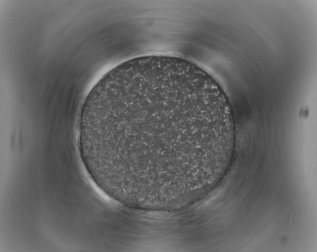 X0000091331383200709071148