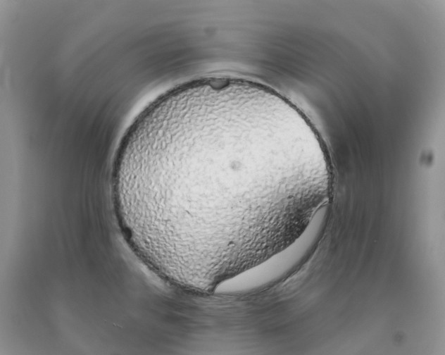 X0000091331384200709071148