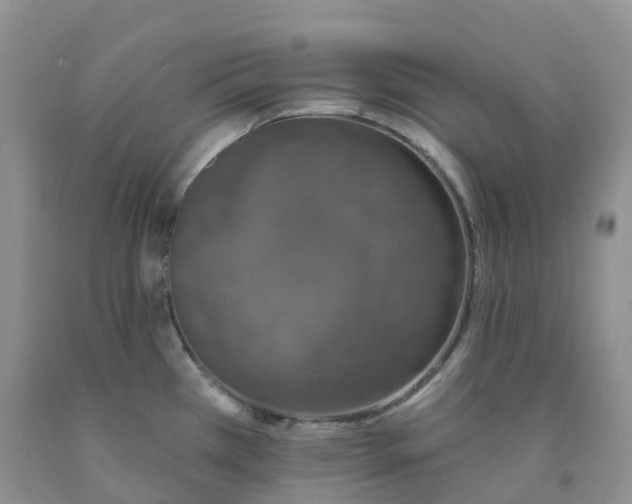 X0000091331385200709071148