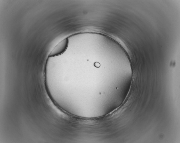 X0000091331387200709071148
