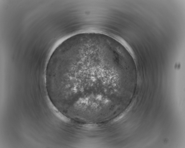X0000091331388200709071148