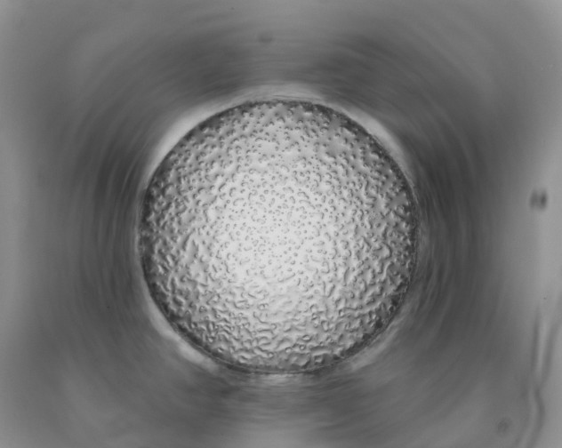 X0000091331390200709071148