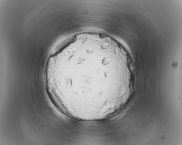 X0000091331391200709071148