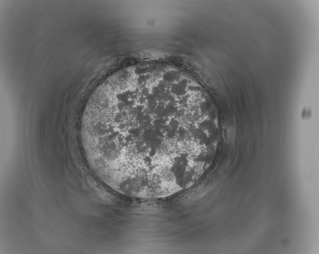 X0000091331393200709071147
