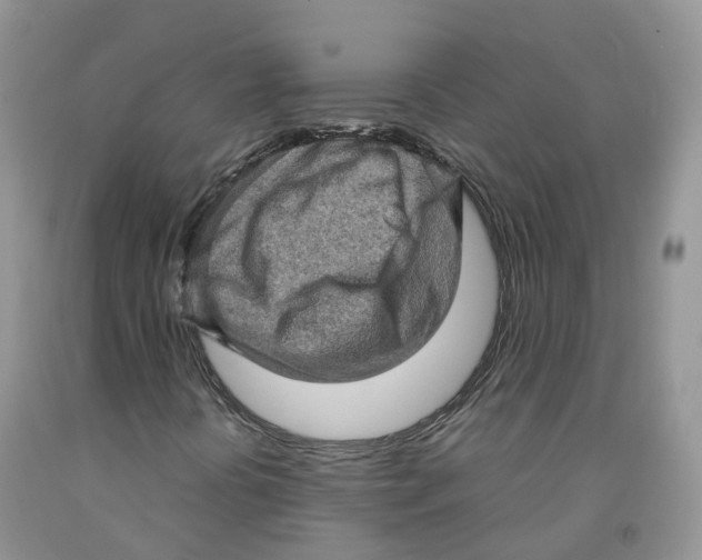 X0000091331394200709071147