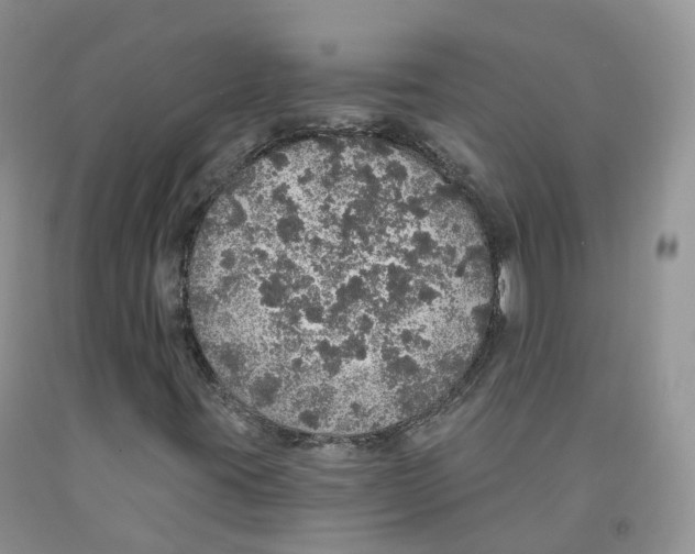 X0000091331395200709071147