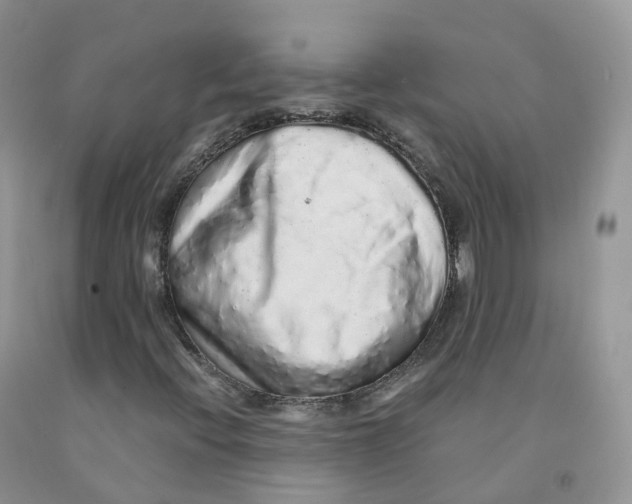 X0000091331396200709071147