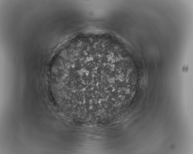 X0000091331397200709071147