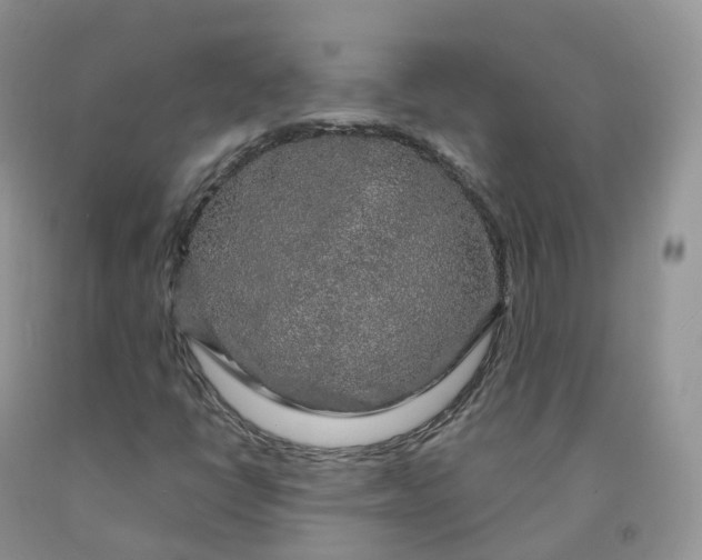 X0000091331398200709071147