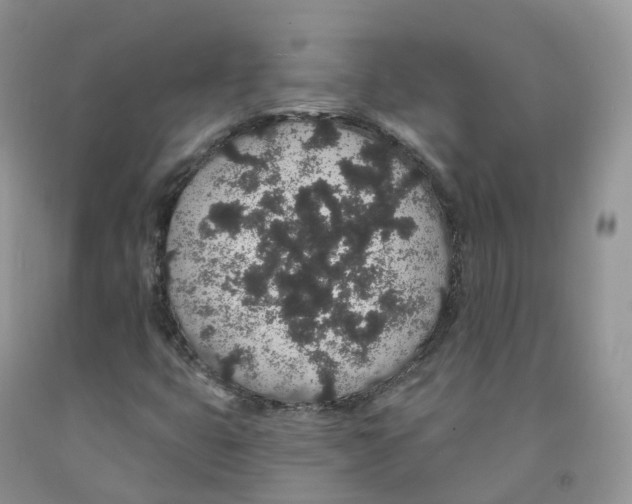 X0000091331399200709071147
