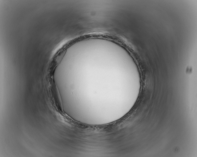 X0000091331400200709071147