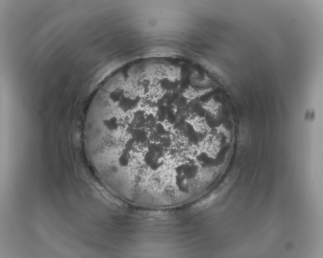 X0000091331401200709071147