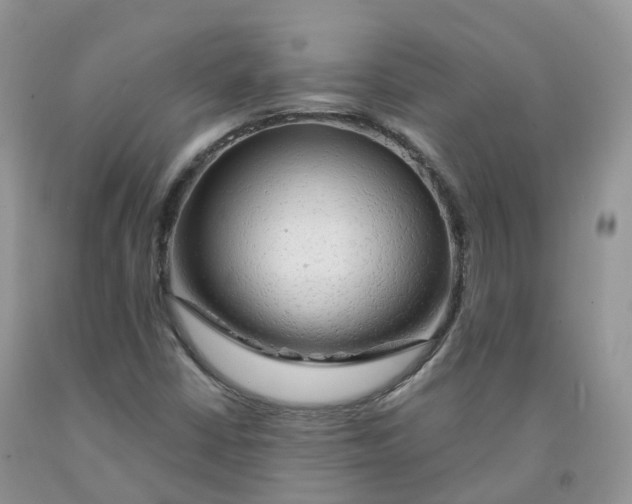 X0000091331402200709071147