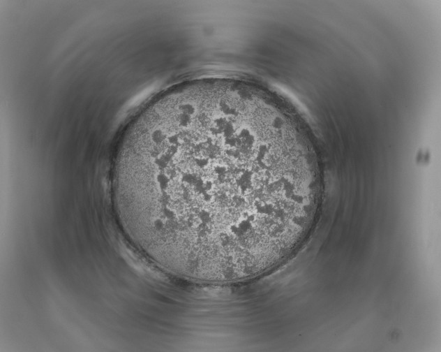 X0000091331403200709071147