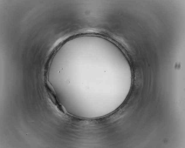 X0000091331404200709071147