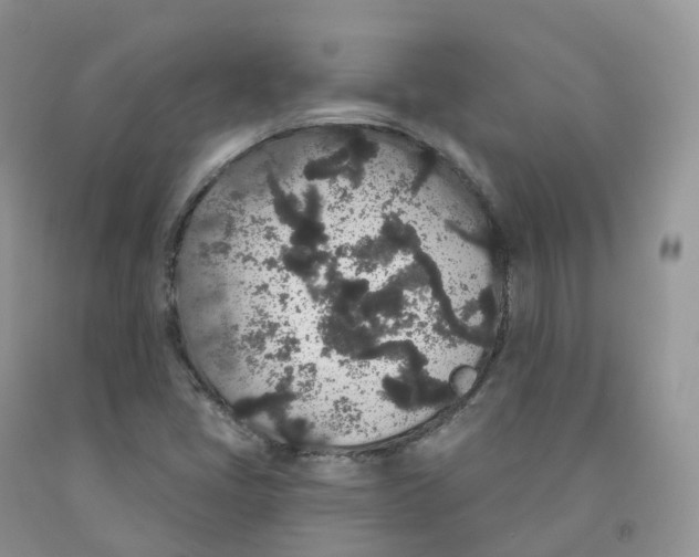 X0000091331405200709071147
