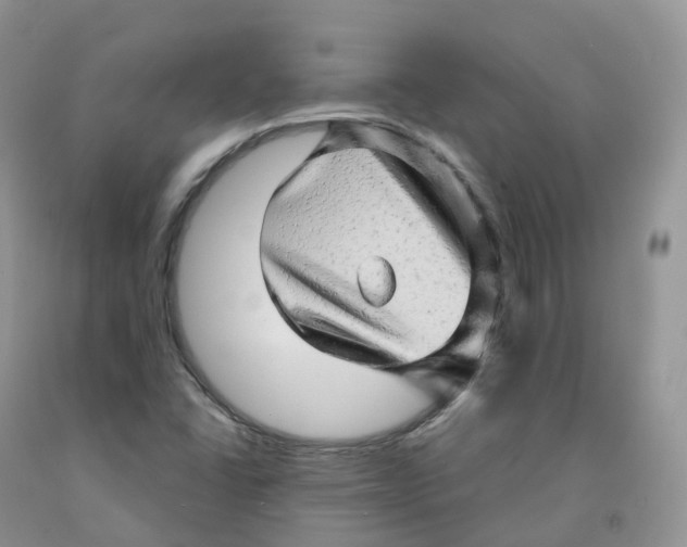 X0000091331406200709071147
