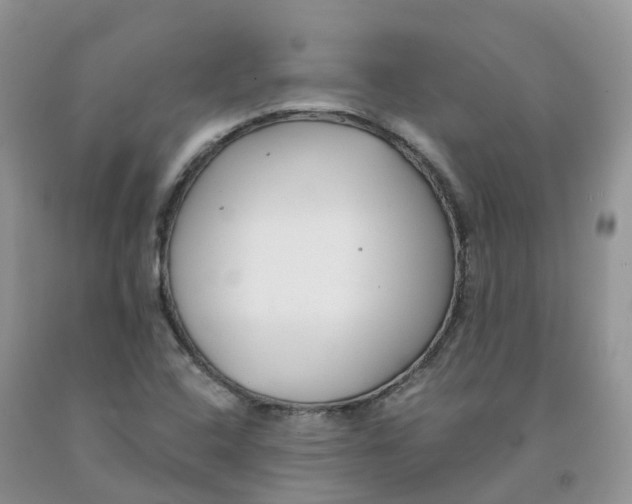 X0000091331408200709071147