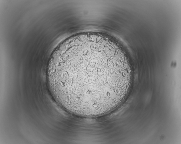 X0000091331409200709071147
