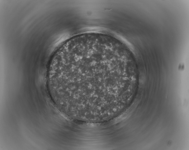 X0000091331411200709071147