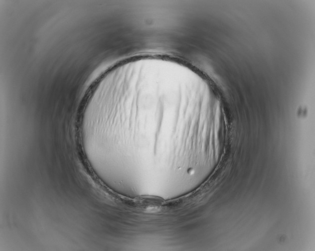 X0000091331412200709071147