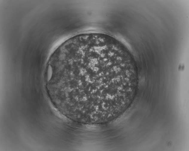 X0000091331413200709071147