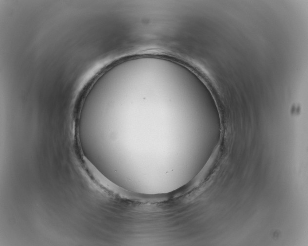 X0000091331414200709071147