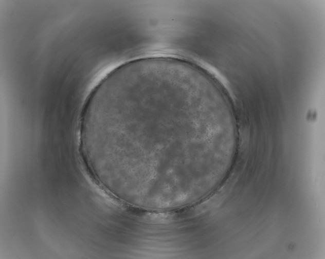 X0000091331415200709071147