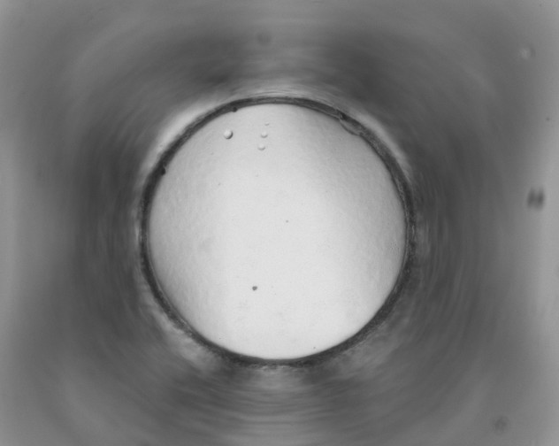 X0000091331416200709071147